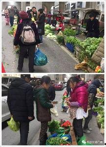 半山小镇爆料最新消息是真的吗,最新消息真实性揭秘 第3张 半山小镇爆料最新消息是真的吗,最新消息真实性揭秘 第3张