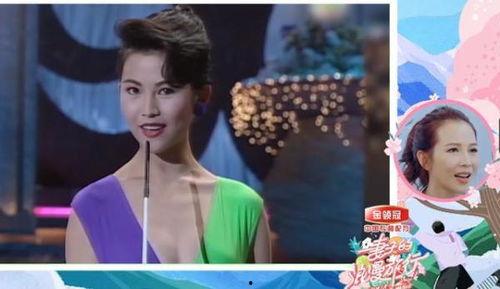 港姐系列爆料视频大全集,揭秘港姐大赛背后的精彩瞬间与幕后故事